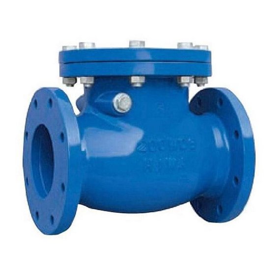  RPS Non Return Valve